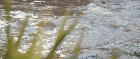 Muddy Flowing Stream with Sunlit Highlights Video stock 133018023