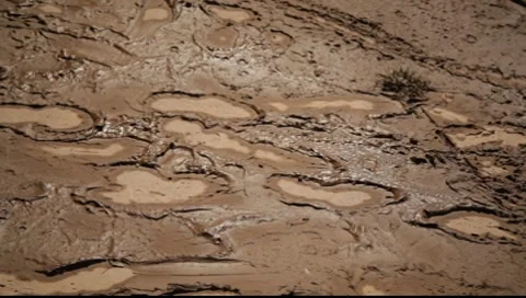 Muddy Footprints 스톡 동영상 8649245