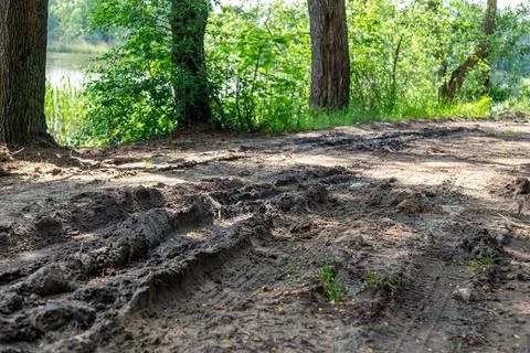 Muddy forest path with deep tire ruts and wet ground after rainfall Stock Photos