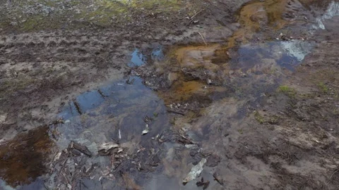 A muddy forest path is shown with tire tracks and puddles of water reflecting Video stock 279992912
