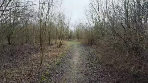 A muddy forest path in winter Stock Footage 266242948