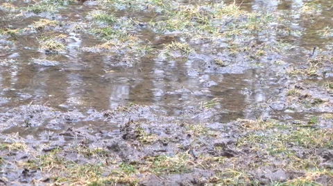 Muddy grass field in early spring rain Stock Footage 47820290