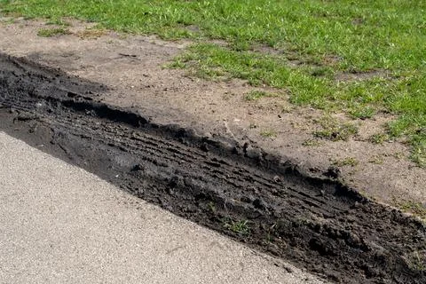 Muddy ground between a green lawn and asphalt, visible vehicle tire tracks Foto stock