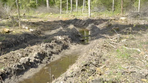 The muddy ground in the forest where the tire prints Видео 138558731