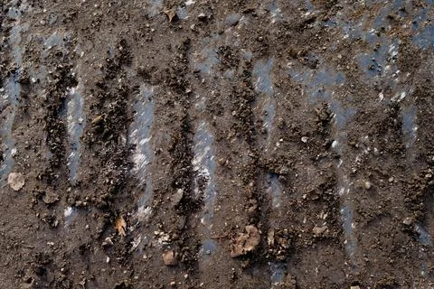 Muddy ground with visible crawler tread imprints and soil compaction pattern Stock Photos