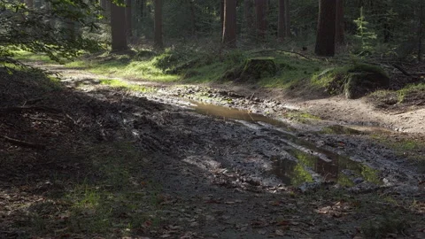 Muddy impassible path because of all the rain Video stock 209153804