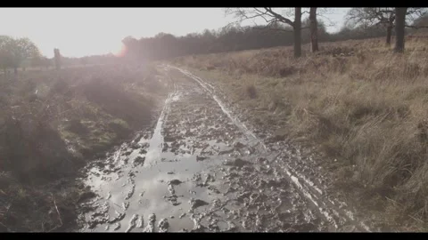 MUDDY LANE Stock Footage 277347409