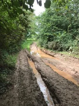 Muddy Lane Stock Photos