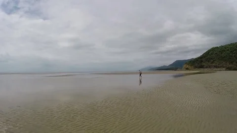 Muddy mangrove beach during low tide Stock Footage 71328934