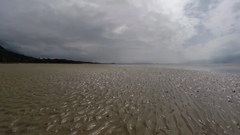 Muddy mangrove beach during low tide Stock Footage 71329258