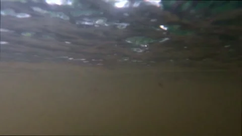 Muddy or dirty water seen from below the water surface Vídeos de archivo 336933644