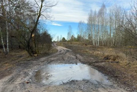 A muddy patch at the beginning of winter, a puddle on a forest road covered with Stock Photos