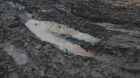 A muddy patch in an open field, great for outdoor or rustic-themed designs Stock Footage 332226059