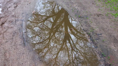 Muddy path, after rain,  shimmering reflection, footprints, stlck footage Stock Footage 297567509