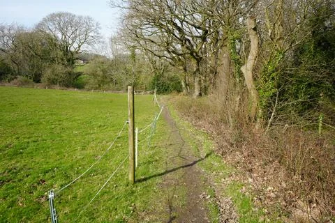 Muddy Path, Green Field, Bare Trees, Clear Sky, Barlow, North East Derbyshire, Stock Photos