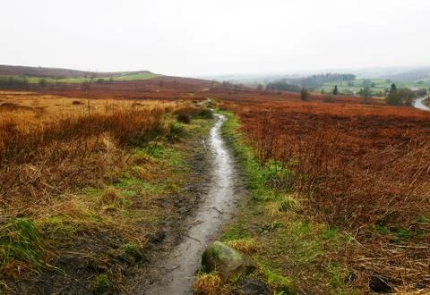 Muddy path leading far into fields on a rainy day Stock Photos