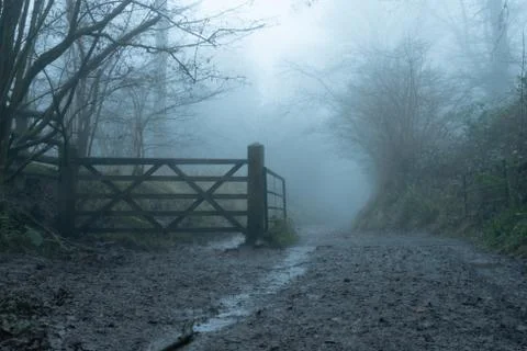 A muddy path, next to a gate, through a foggy, eerie, winters forest. Stock Photos