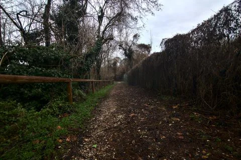 Muddy path in a park on a cloudy day in the italian countryside in late autum Stock Photos
