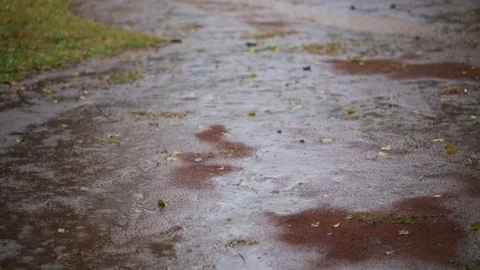 Muddy path on a rainy day Stock Footage 77444212