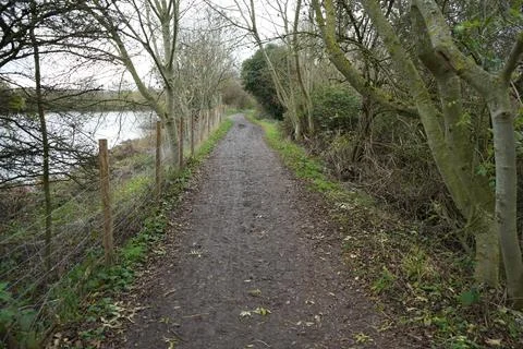 Muddy Path Through Bare Trees And Fence By A Lake In Attenborough Nature Stock Photos