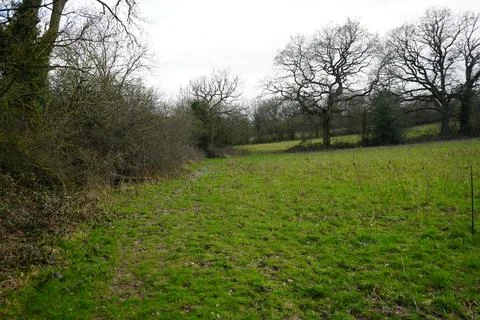 Muddy Path Through Green Field With Winter Trees Under Cloudy Sky, Wessington, Fotos de archivo
