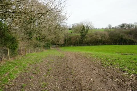 Muddy Path Through Green Fields Towards A Gate And Bare Trees Wessington England Foto stock