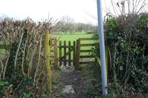 Muddy Path Through Hedgerows To A Wooden Gate And Green Field, Wessington, Stock Photos