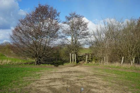 Muddy Path To A Wooden Gate With Bare Trees And Green Fields In North East Stock Photos