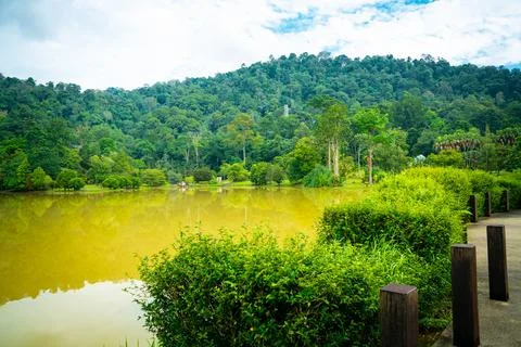 Muddy pond Stock Photos
