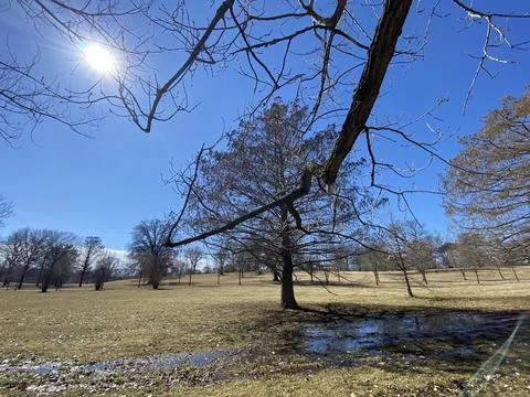 A Muddy Pool in the Park Stock Photos