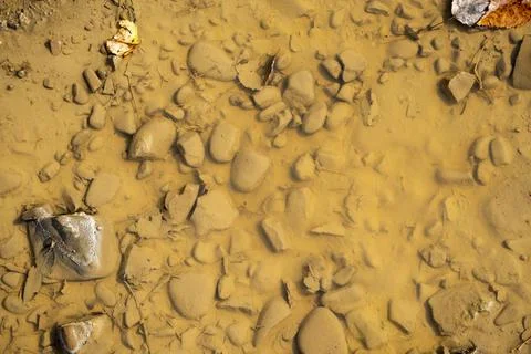 Muddy puddle Stock Photos
