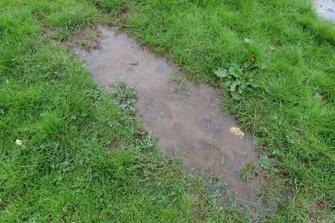 Muddy puddle Stock Photos