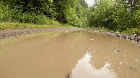 In a muddy puddle reflected trees mountain forest, wet in the woods after rain Stock Footage 43799601