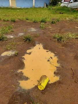 Muddy Puddle Reflection Foto stock
