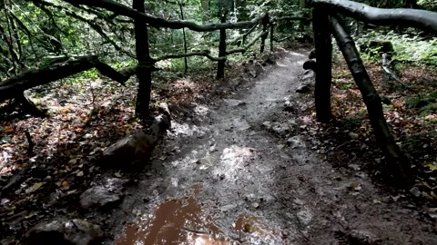Muddy Puddle on Rustic Woodland Path with Branch Fencing Stock Footage 345645180