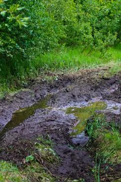 A muddy quadding trail in spring Stock Photos