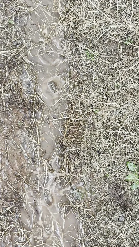 Muddy Rainwater Flowing Through Wet Grass and Soil Видео 344779344