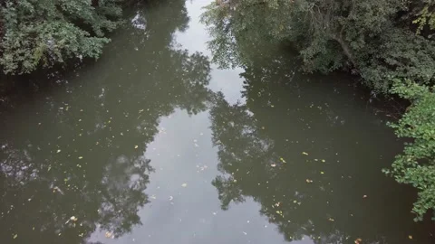 Muddy River #1 Stock Footage 164241569