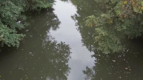 Muddy River #2 Stock Footage 164241278