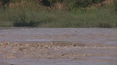 Muddy river 5 Stock Footage 8162954