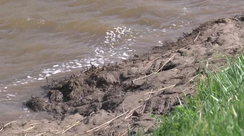Muddy river bank Stock Footage 49078561