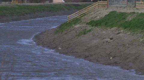 Muddy river bank Stock Footage 49078612