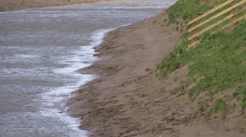 Muddy river bank Stock Footage 49078679