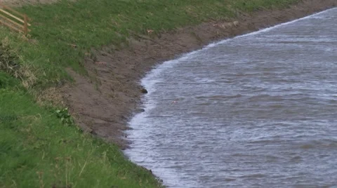 Muddy river bank Stock Footage 49078711
