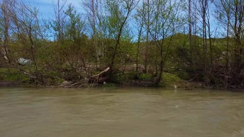 Muddy river drone go downstream slover than current speed facing right riverside Stock Footage 241219234