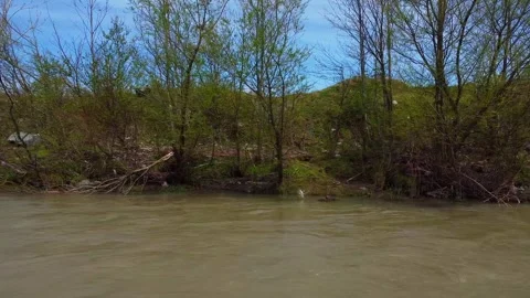 Muddy river drone moving downstream at the current speed facing right river bank Stock Footage 241219156