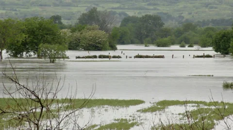 Muddy river flooded agricultural fields after  storm. Natural disaster.Landscape Stock Footage 38936280