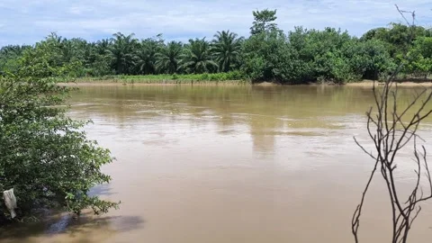 Muddy river flow after heavy rain near tropical plantation Stock Footage 346722453