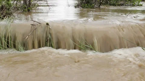 Muddy river flowing and flooding field after big rain storm. Waves swaying grass 스톡 동영상 38998002