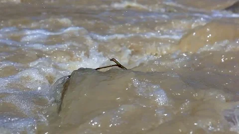 Muddy river flowing from mountains Stock Footage 82136455